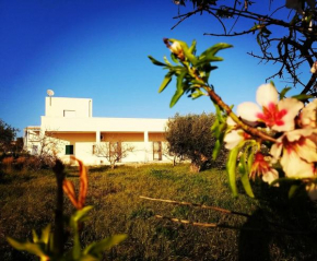 Villa Albatros